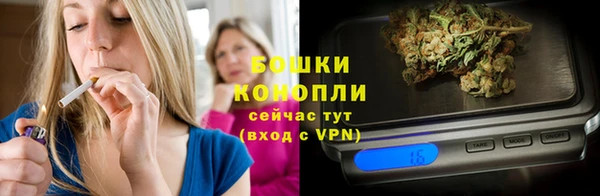 прущие грибы Тобольск