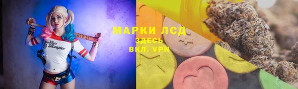 прущие грибы Тобольск