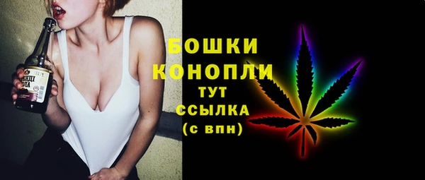 прущие грибы Тобольск