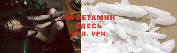 прущие грибы Тобольск
