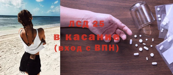 прущие грибы Тобольск
