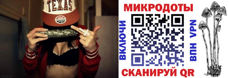 Галлюциногенные грибы Psilocybe  shop какой сайт  Яхрома  купить наркотики сайты 