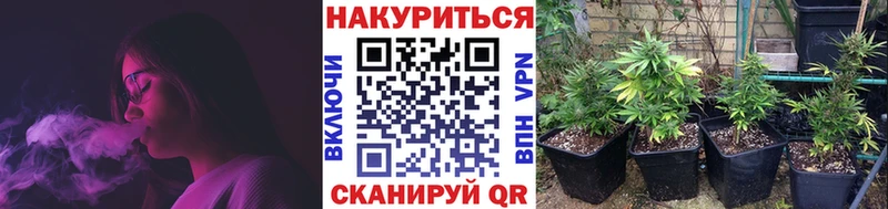 omg ССЫЛКА  Яхрома  Марихуана тримм 